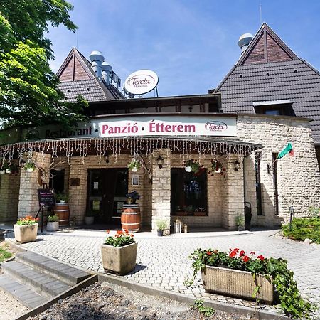 Tercia Hubertus Panzio Bed and Breakfast Sopron Exteriör bild