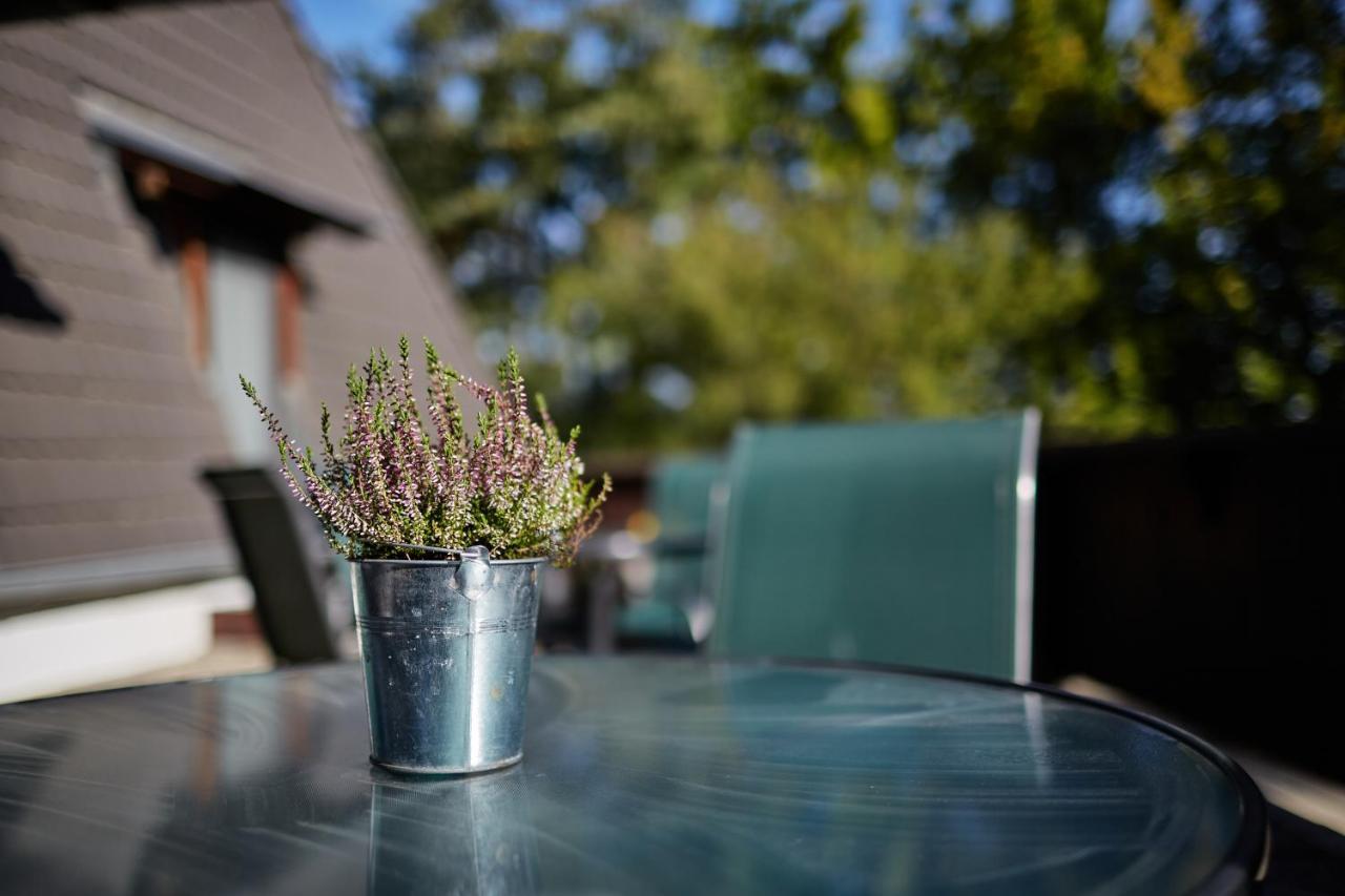 Tercia Hubertus Panzio Bed and Breakfast Sopron Exteriör bild
