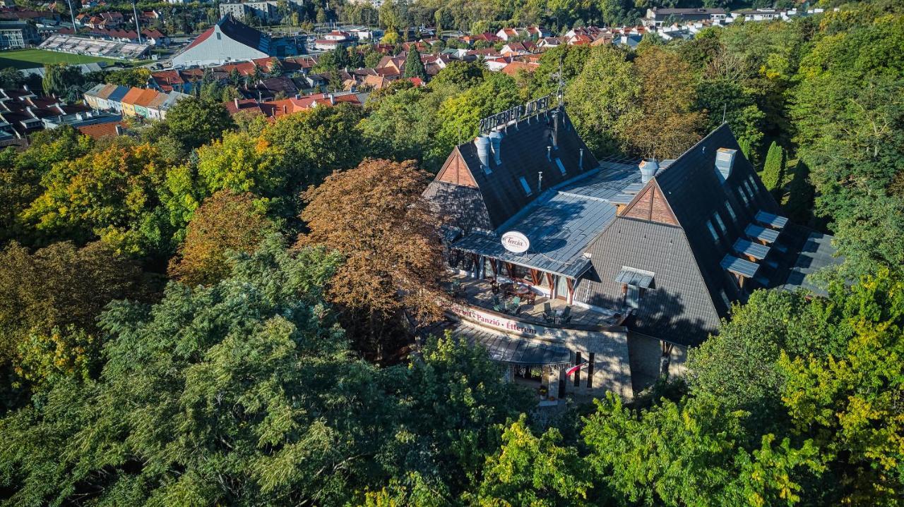 Tercia Hubertus Panzio Bed and Breakfast Sopron Exteriör bild