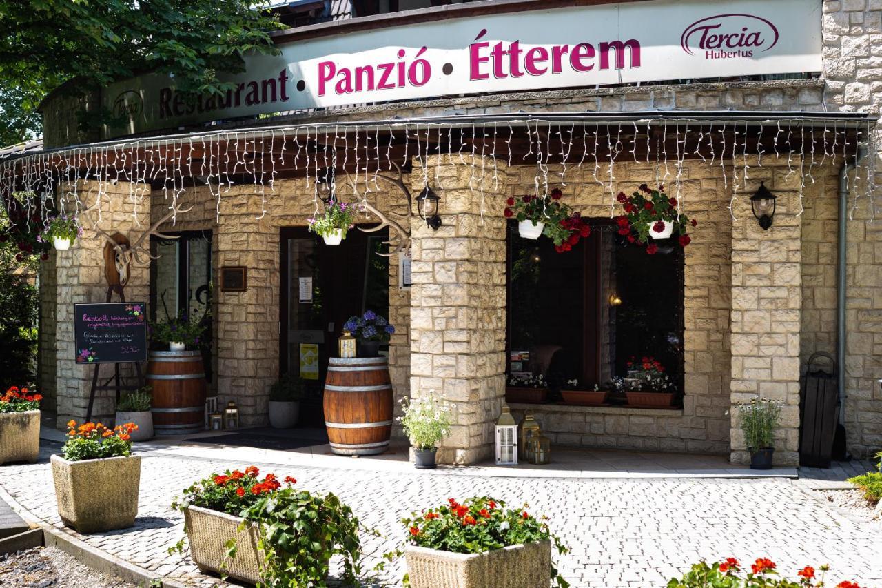Tercia Hubertus Panzio Bed and Breakfast Sopron Exteriör bild